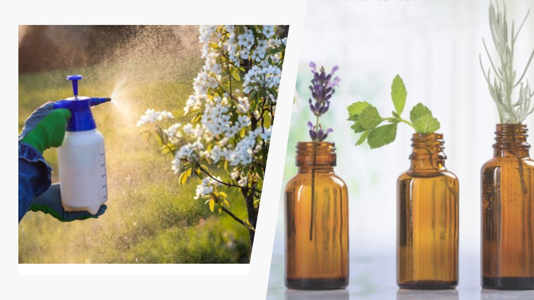 Do Pesticide agent manufacturers use essential oils for fragrance?