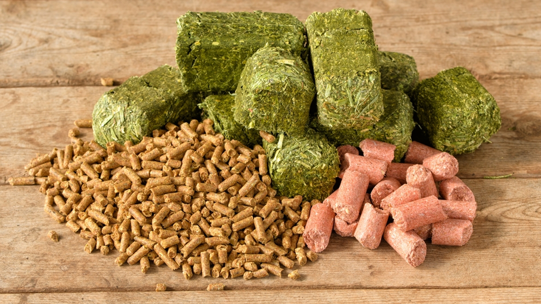 Do animal feed flavors enhance dairy production?