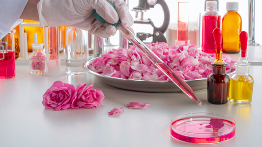 How fragrance compounds interact with our sense of smell and the biology?