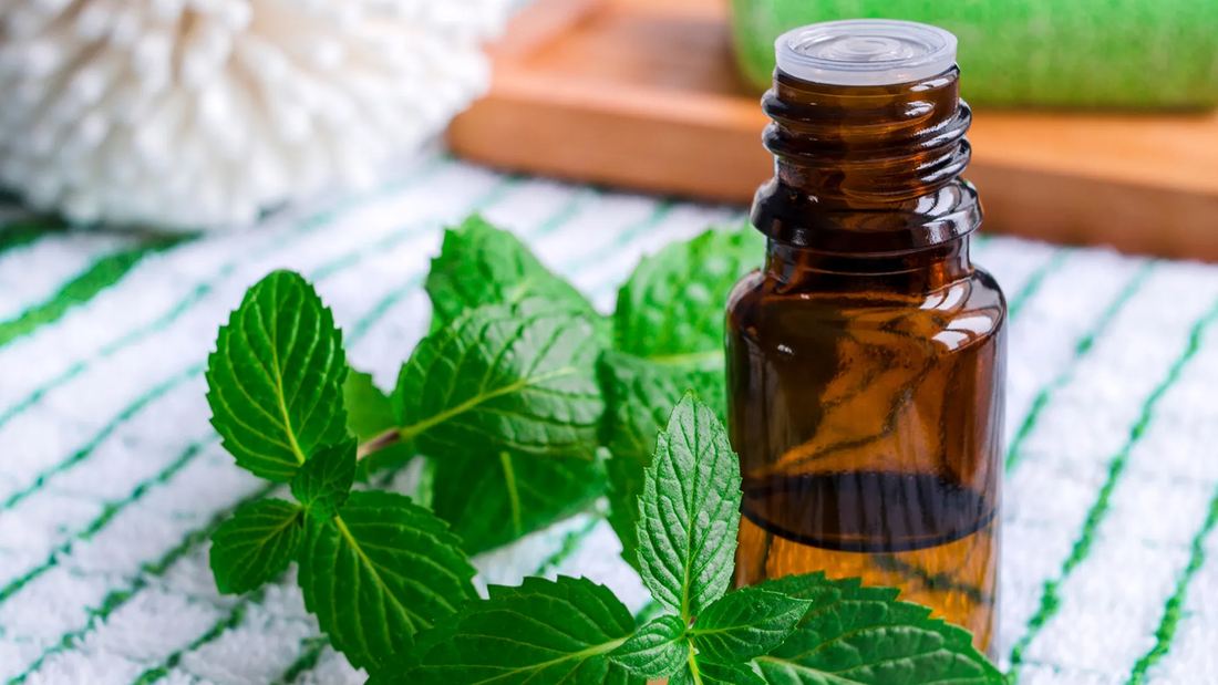 Menthol and its derivatives: Applications beyond the food industry