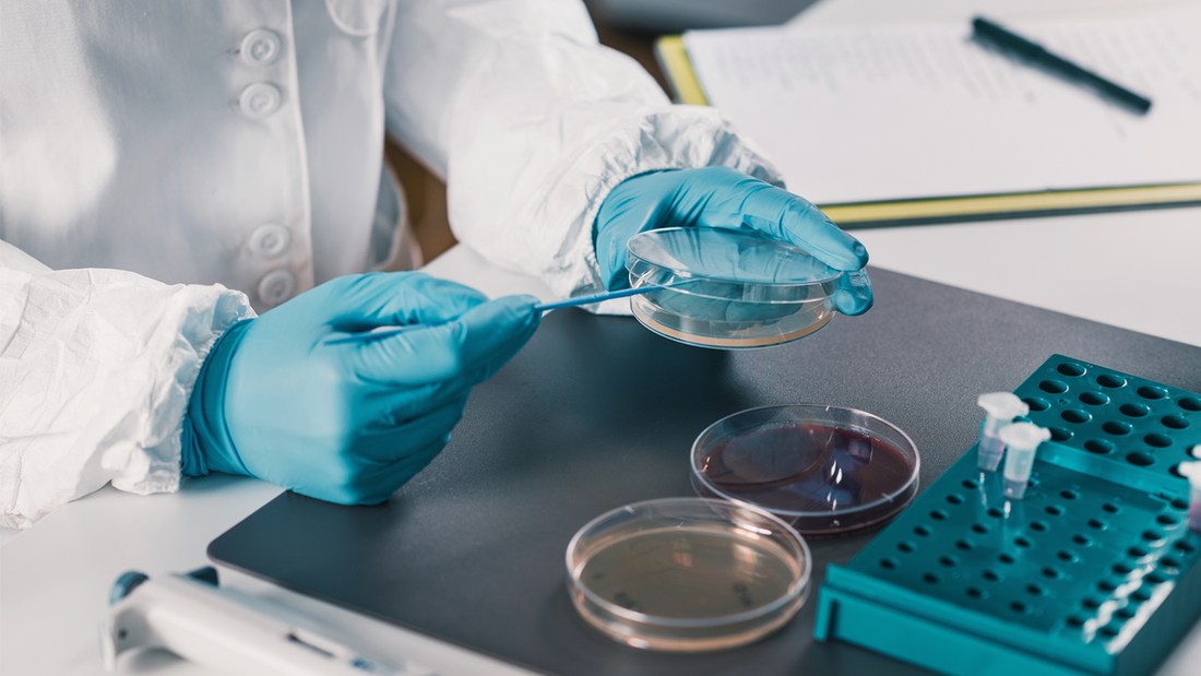 The ultimate guide to selecting cosmetic preservatives