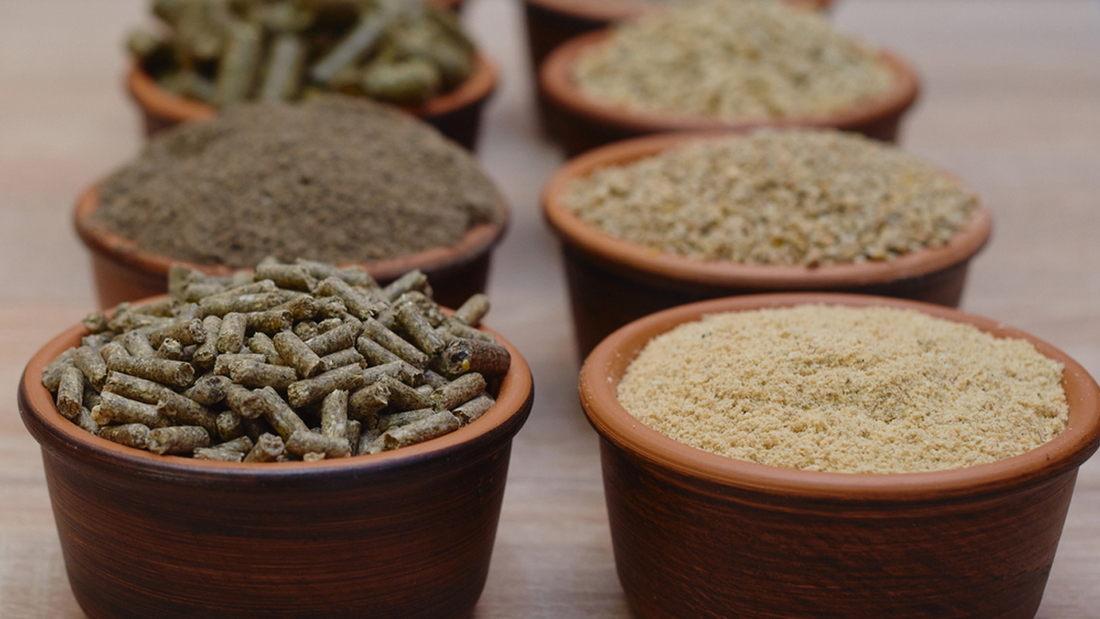 Three essential animal feed flavors you should know about