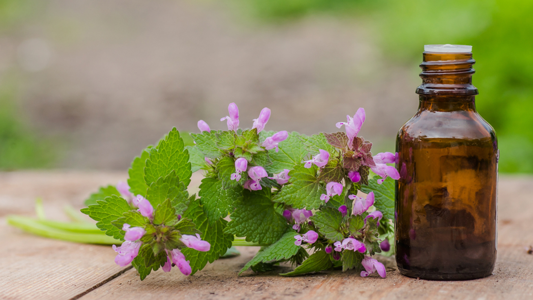Thymol’s impact and applications in modern pharmaceuticals