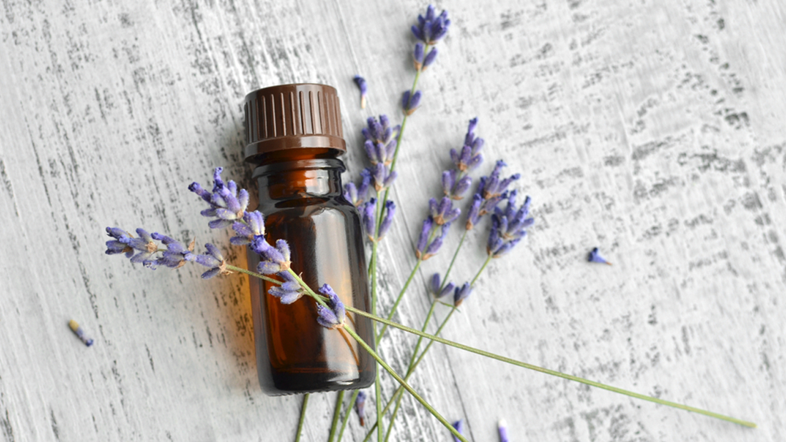 Types of antifungal essential oils - A brief overview