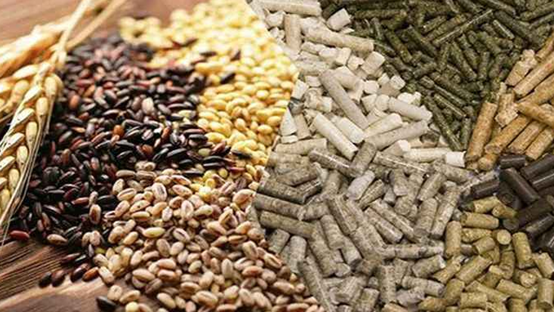 Which animal feed flavours work best in the cattle industrya