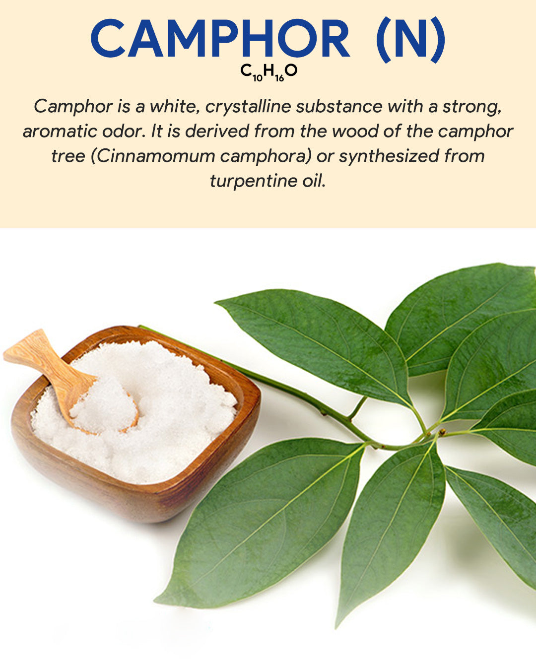 Camphor Oil (N)