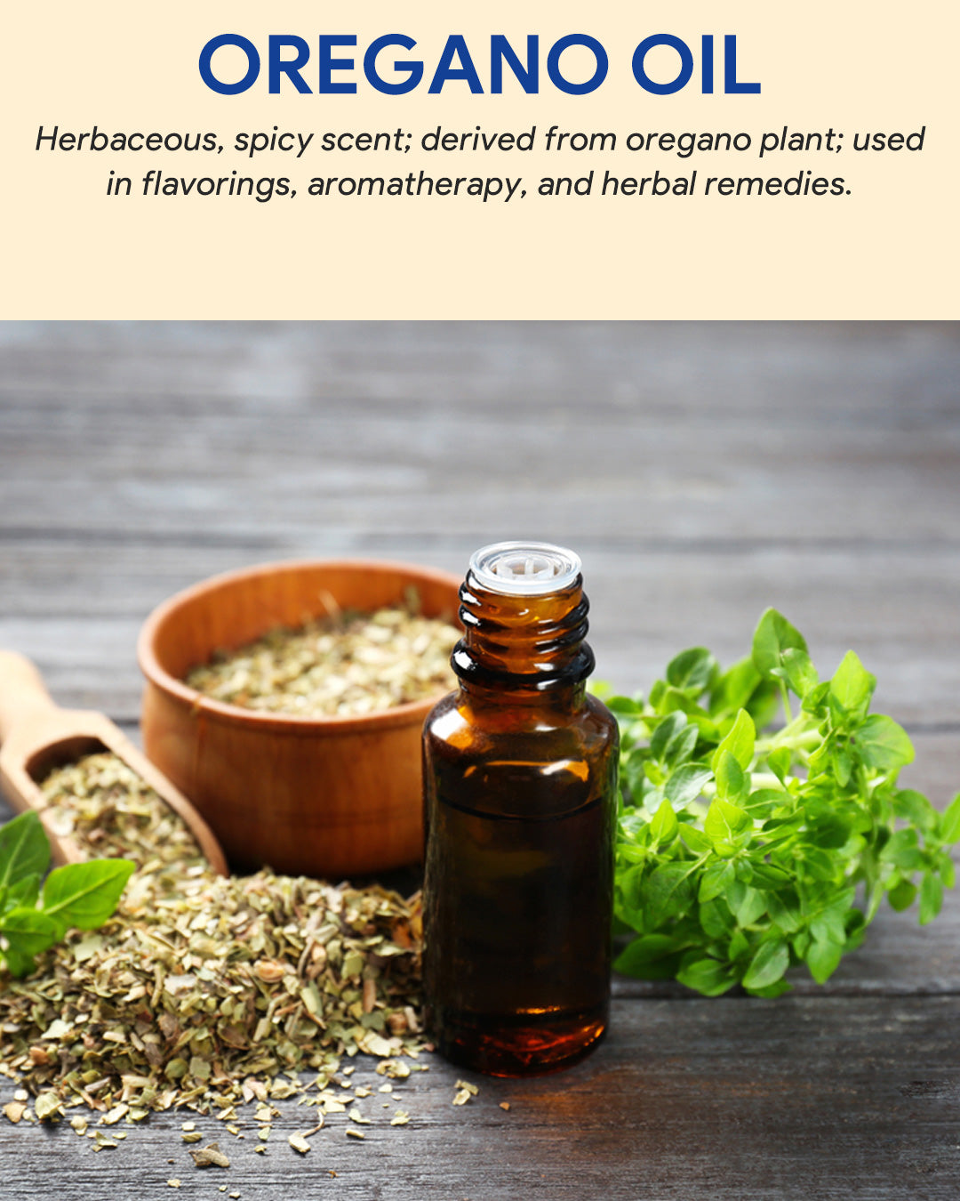 Oregano Oil