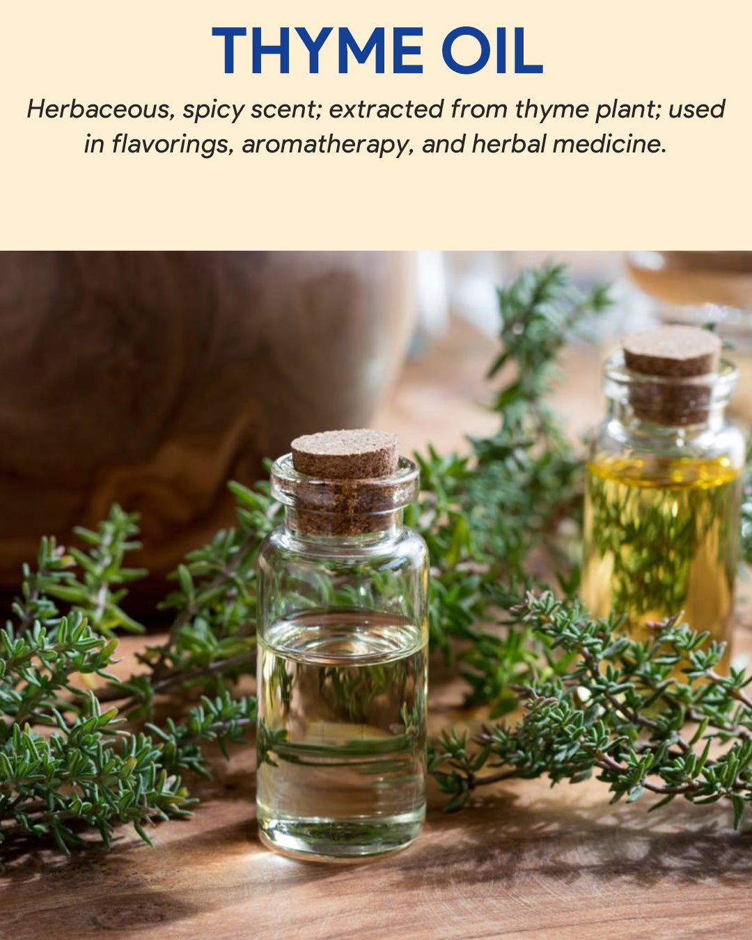 Thyme Oil