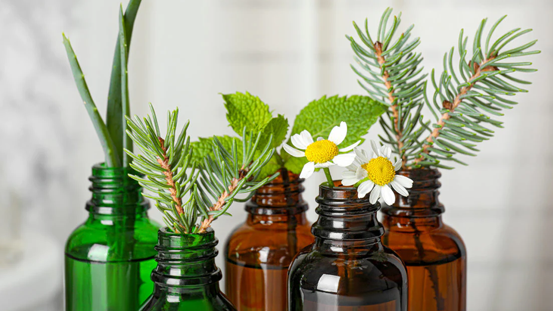 5 synthetic counterparts used as major constituents for essential oils, manufactured by SBBLG