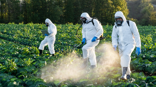 Explore the importance of Para-Cymene in the pesticide industry