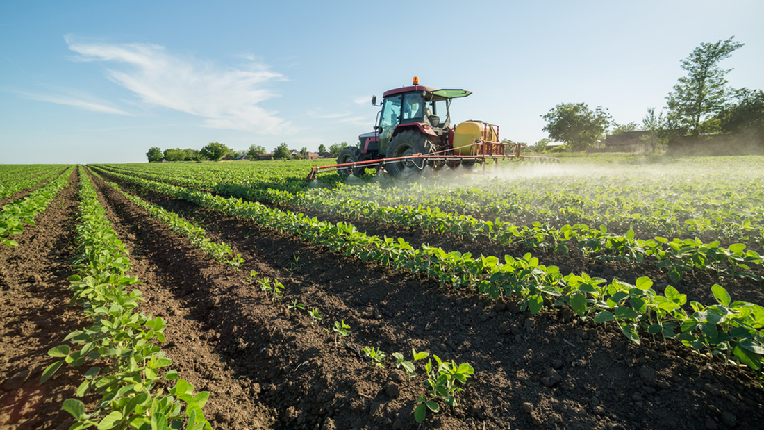 How do fungicides help in the horticulture sector?