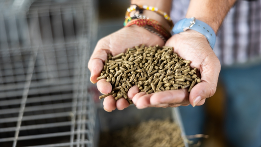 How do industries incorporate d-carvone in animal feed flavors?