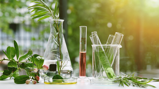 L-Carvone vs D-Carvone: Difference in chemistry, structure, and application