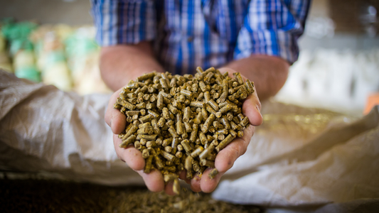 Latest Innovation in animal feed flavors - How do they meet modern agriculture demands