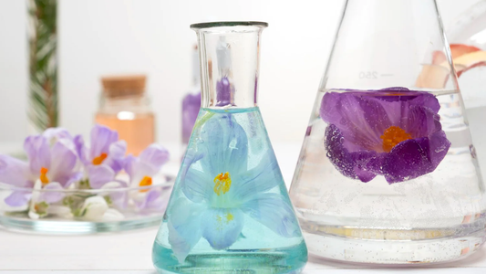 The evolution of fragrance in cosmetics: Trends, innovations, and consumer preferences