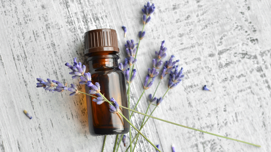 Types of antifungal essential oils - A brief overview
