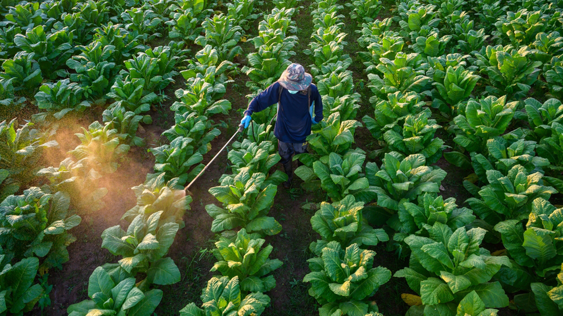 Which aroma chemicals are used in pesticides and fungicides?