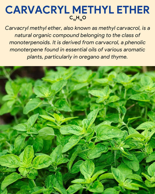 Carvacrol Methyl Ether